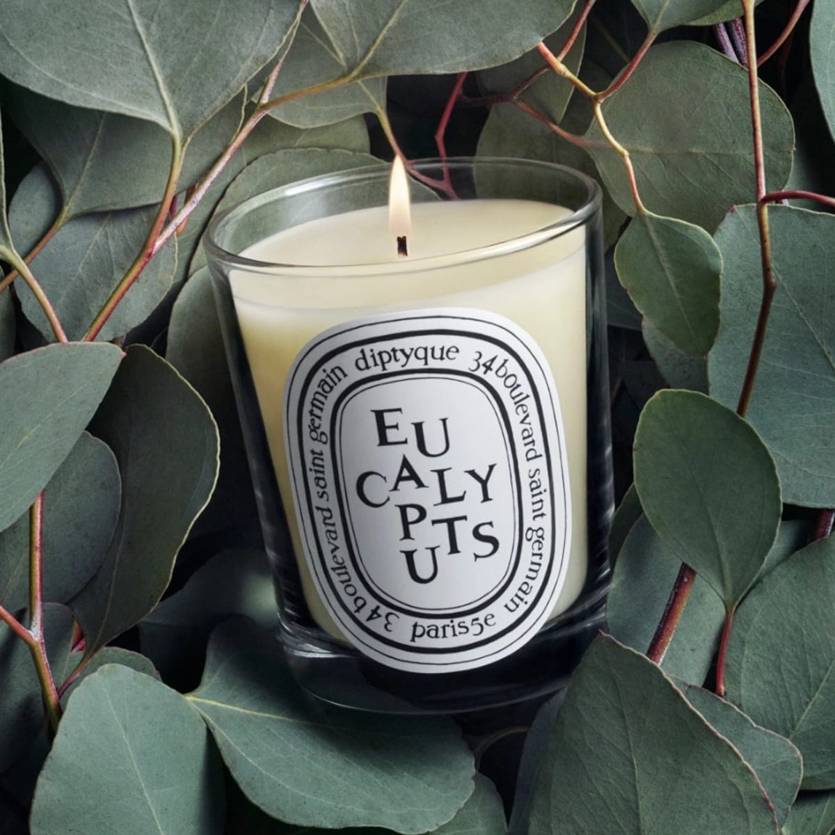 Diptyque - Classic Candle - Eucalyptus - Thumbnail 4