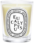 Diptyque Eucalyptus Candle (190 g)
