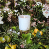 Lifestyle shot of Trudon Limited Edition Positano Candle (9.5 oz) shown lit on gold pillar pedestal with flowers and citrus in the background