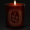 Diptyque Ambre Colored Candle (300 g) - product shown lit on dark background. 