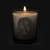 Diptyque Roses Candle (70 g) shown lit
