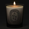 Diptyque Ambre (Amber) Candle - lit candle shown