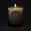 Diptyque Ambre (Amber) Candle (70 g) shown lit