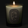 Diptyque Verveine (Verbena) Candle - lit candle shown