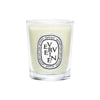 Verveine (Lemon Verbena) Small Candle