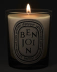 Diptyque Benjoin (Benzoin) Candle - lit candle shown