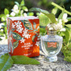 Fragonard Parfumeur Fleur d'Oranger Intense Eau de Parfum (50 ml) - product and packaging shown on rock with plants