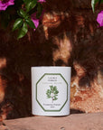 Lifestyle shot of Carriere Freres Bay Laurel Candle (185 g) with stone and pink flowers in the background