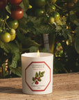 Lifestyle shot of Carriere Freres Tomato Candle (185 g) shown lit with tomatoes on the vine in the background