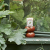Carriere Freres Tomato Candle (185 g) sitting on tomatoes with green leaves and garden background