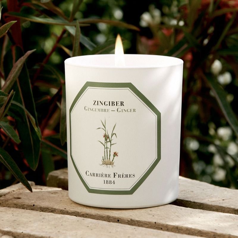 Lifestyle shot of Carriere Freres Ginger Candle (185 g) shown lit with greenery in the background