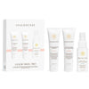 Innersense Organic Beauty Color Travel Trio (3 x 2 oz)
