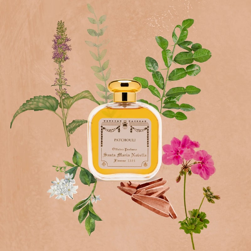 Santa Maria Novella Patchouli Cologne - Bottle shown with scent ingredient illustrations 