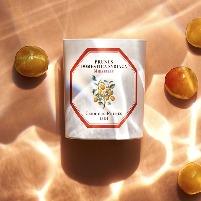 Lifestyle shot of Carriere Freres Mirabelle Candle (185 g) with mirabelle plums in the background