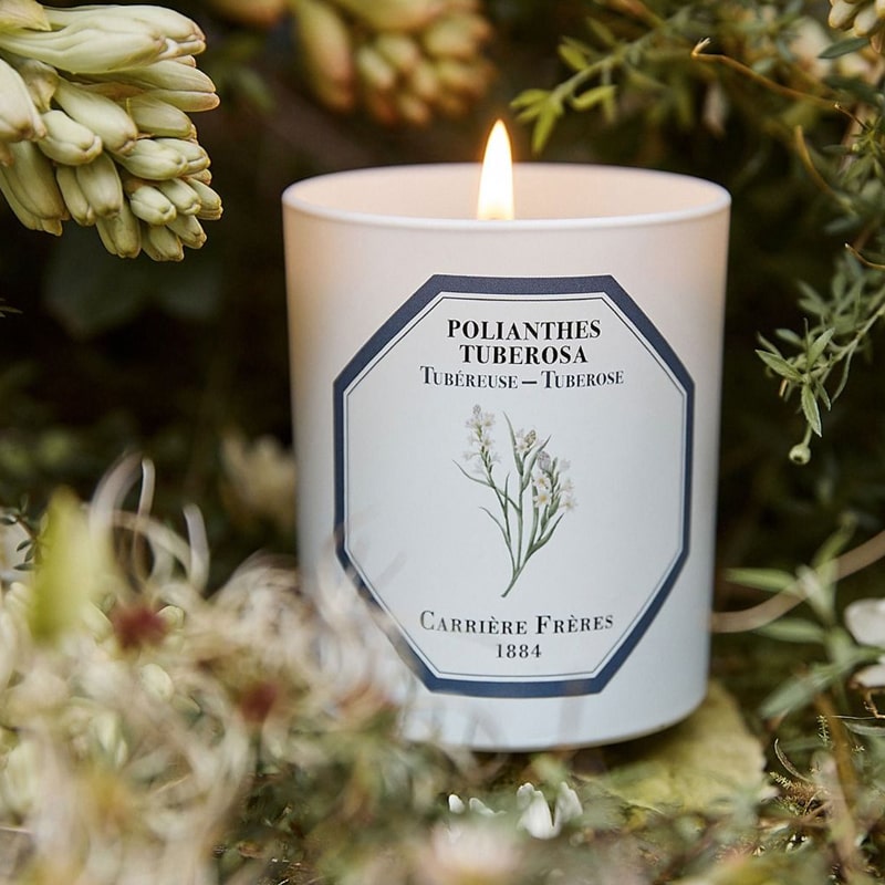 Lifestyle shot of Carriere Freres Tuberose Candle (185 g) shown lit with green foliage in the background and foreground