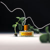 Vilhelm Parfumerie Basilico & Fellini Eau de Parfum - product shown with plants and wire