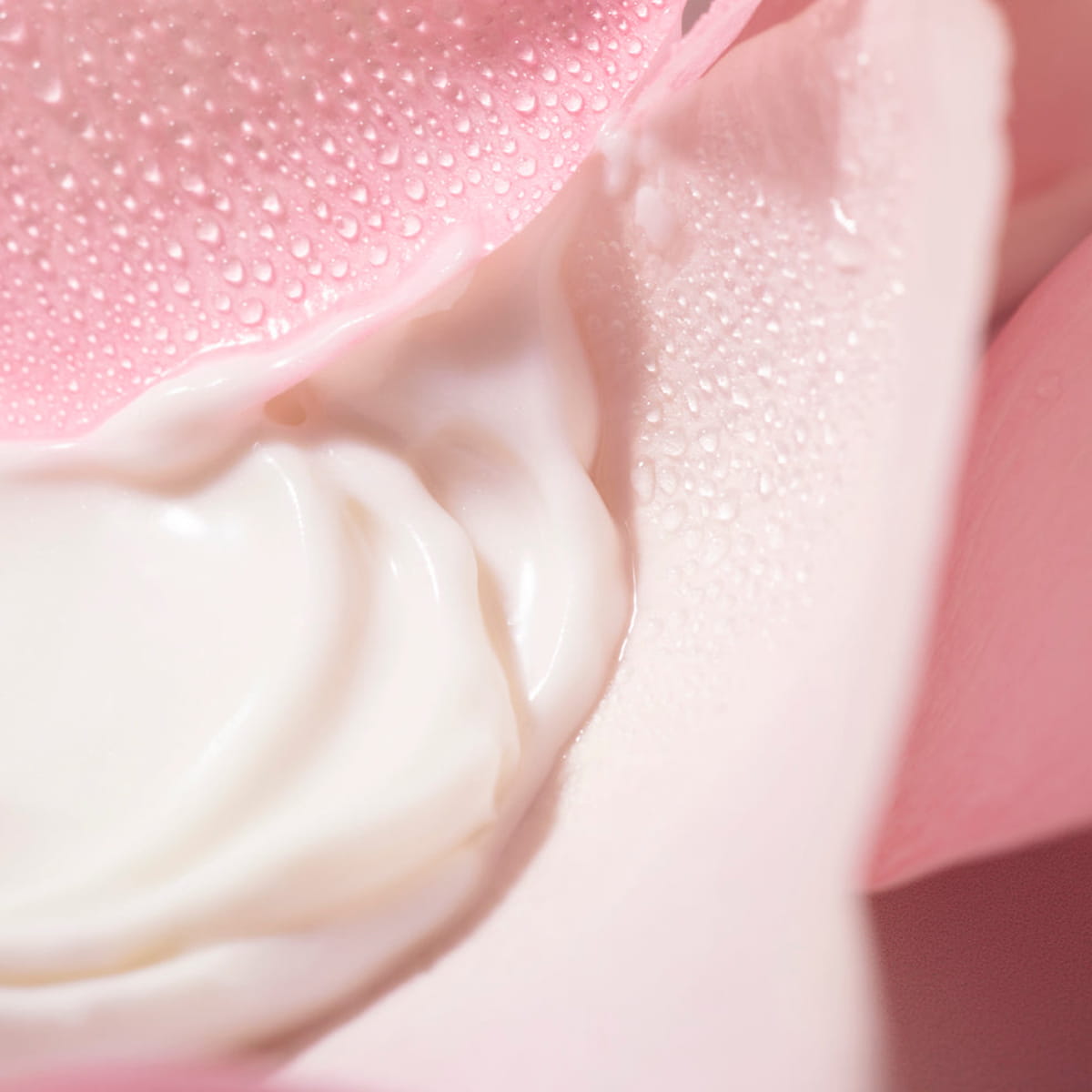 Nuxe Very Rose Make-up Remover Milk (200 ml) - product swatch shown on rose petal. 
