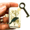Firefly Notes Crow Shiny Things Tin - Small (1 pc) model holding