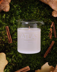 Lifestyle shot top view of Laboratory Perfumes Atlas Candle on grass with cinnamon sticks and ginger root in the background
