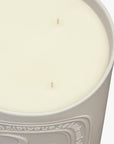 Diptyque 34 Boulevard Saint Germain Candle - top view of wax and three wicks
