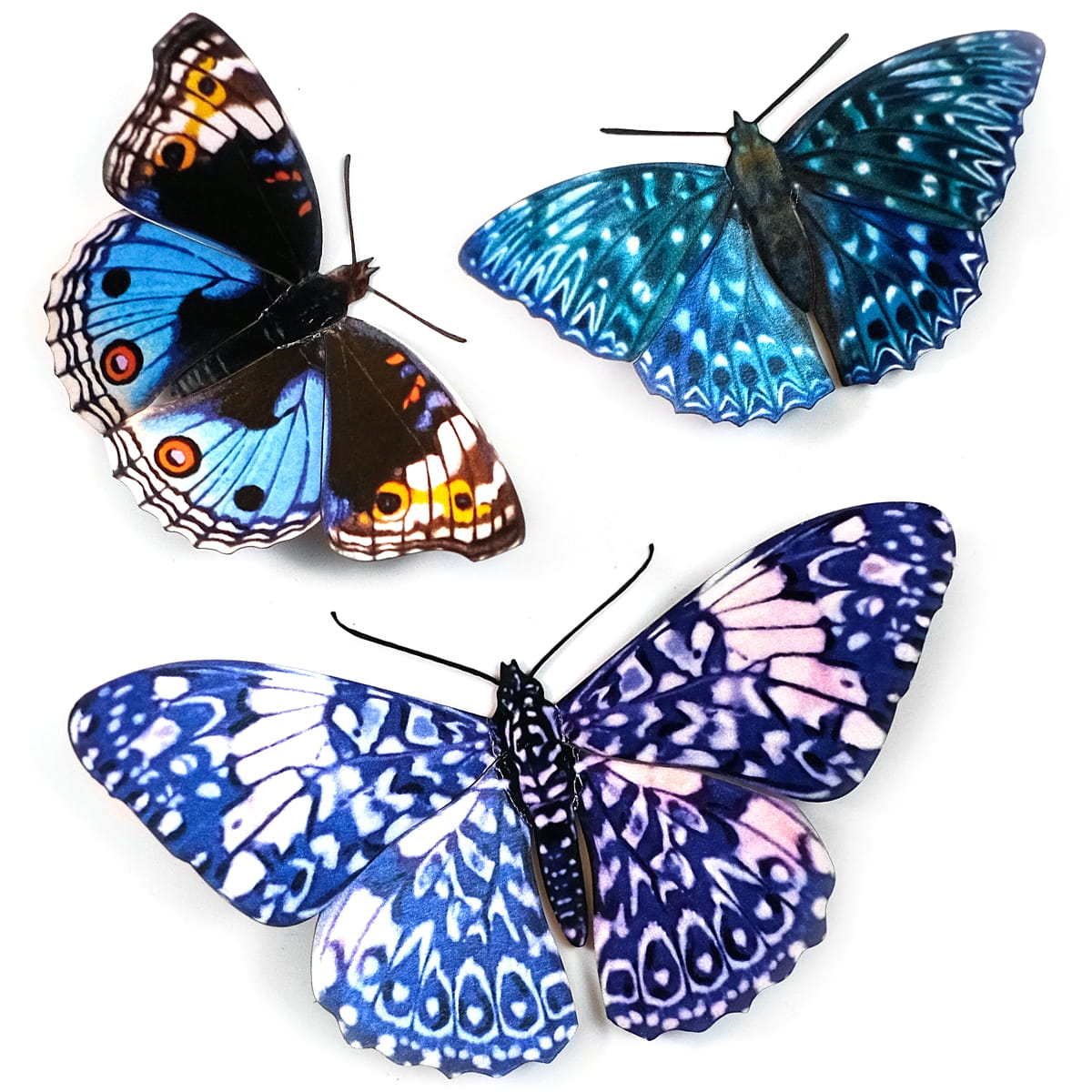Moth & Myth Celestial Butterfly Set (3 pcs)