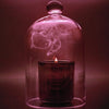 Flamingo Estate Jasmine & Damask Rose Candle (226 g) - product shown on pink background with smoke and glass jar.