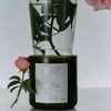 Flamingo Estate Jasmine & Damask Rose Candle (226 g) - product shown with water cup on top of it.