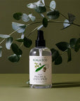 Koala Eco Pillow and Linen Spray - Bottle infront of plant lifestyle photo on green background