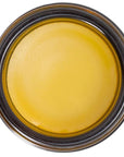 Living Libations Feeling the Shoulder of the Lion Muscle Melt Balm - Overhead shot of product