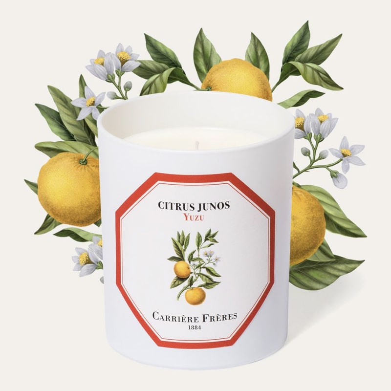 Carriere Freres Yuzu Candle (185 g) with illustration of yuzu and white flowers in the background