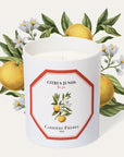 Carriere Freres Yuzu Candle (185 g) with illustration of yuzu and white flowers in the background