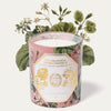 Carriere Freres Geranium Candle (185 g) with illustration of geraniums in the background