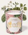 Carriere Freres Geranium Candle (185 g) with illustration of geraniums in the background