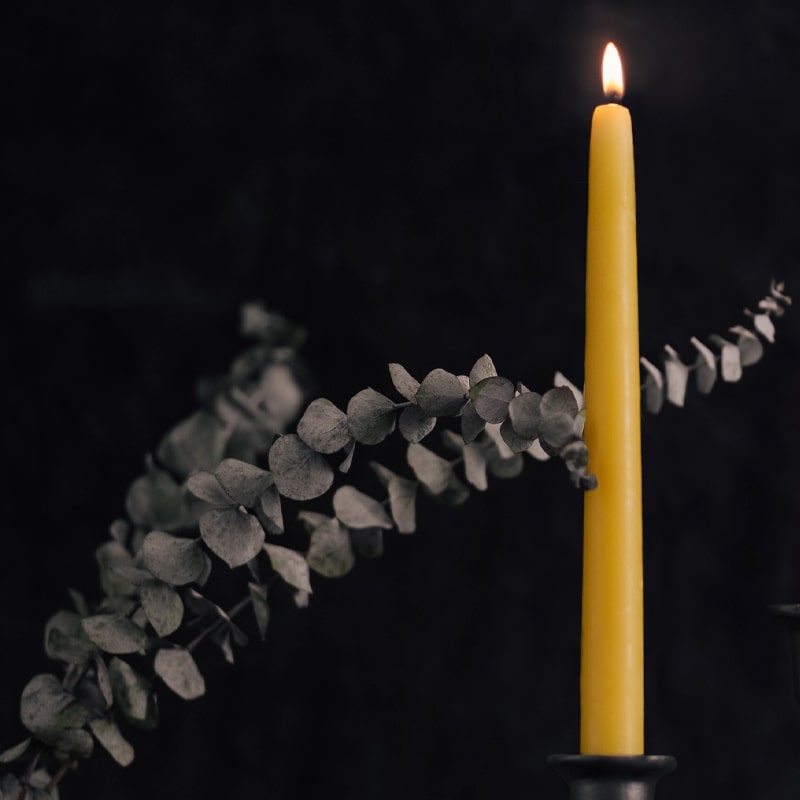 Bluecorn Beeswax Hand-Dipped Beeswax 8&quot; Taper Candles displaying one candle lit