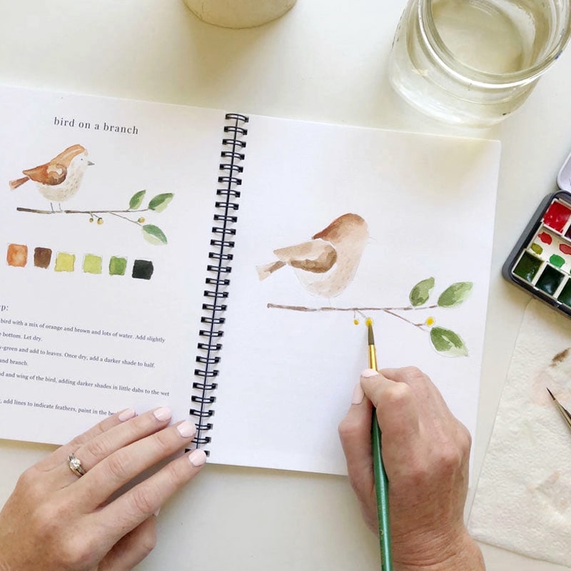 Emily Lex Studio Animals Watercolor Workbook – Beautyhabit