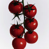 Roma Heirloom Tomato Surface Cleaner  - tomatoes shown up close.