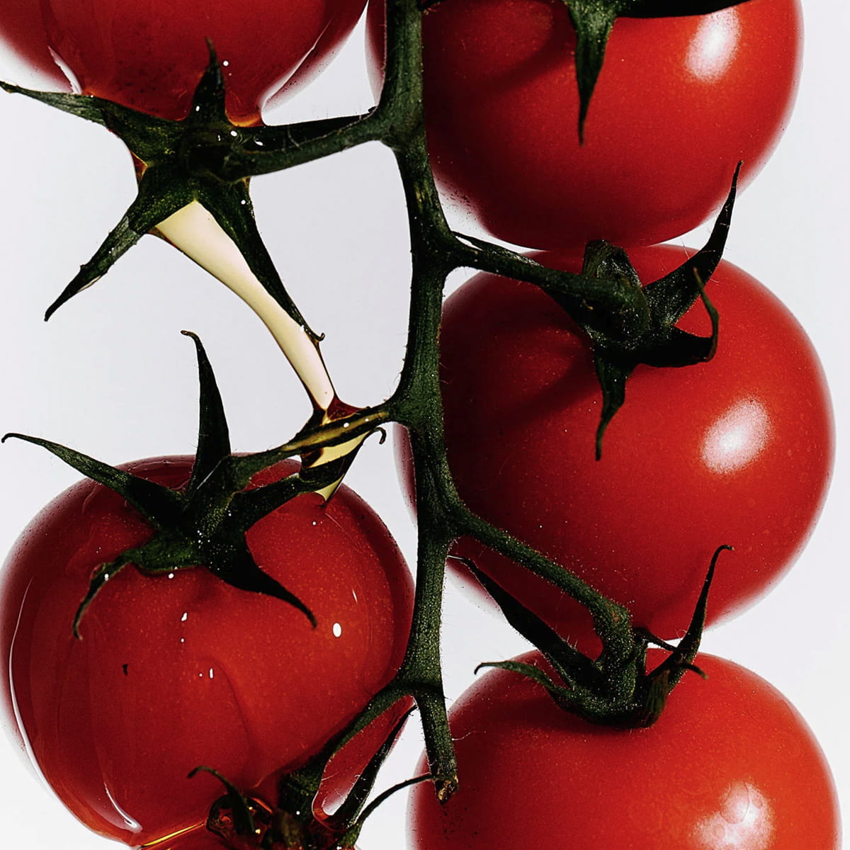 Flamingo Estate Organics Roma Heirloom Tomato Dish Soap (355 ml) - tomatoes shown. 