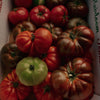 Flamingo Estate Roma Heirloom Tomato Candle (226 g) - tomatoes shown in basket.