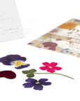 Umami Insider Pressed Dried Edible Flowers - Product shown next to packaging