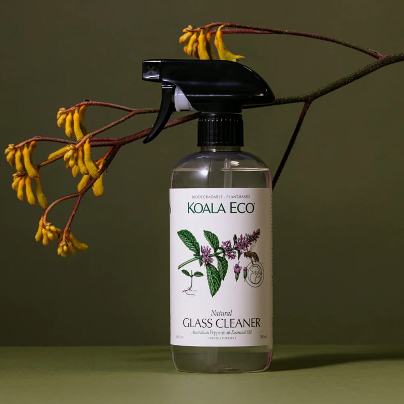 Koala Eco Natural Glass Cleaner (16.9 oz) - Beauty shot