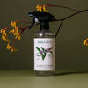 Koala Eco Glass Cleaner - Peppermint Essential Oil (16.9 oz) - product shown on green background.