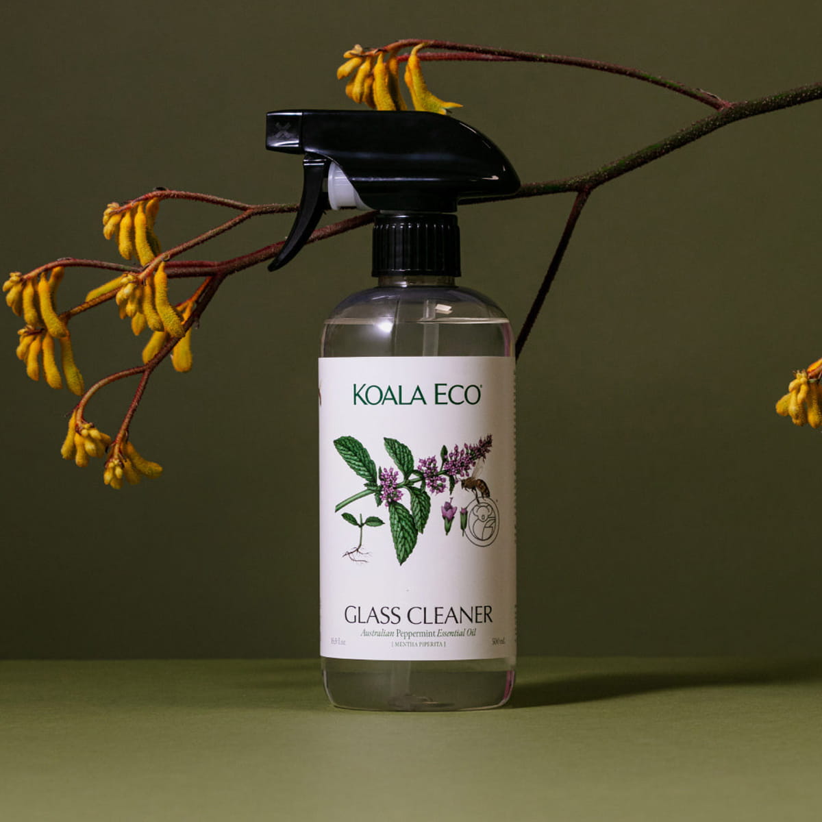 Koala Eco Glass Cleaner - Peppermint Essential Oil (16.9 oz) - product shown on green background.