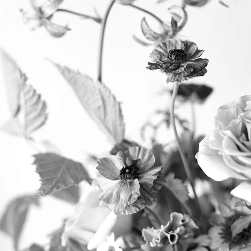 One Seed Dreamer Eau de Parfum Rollerball - Floral beauty shot
