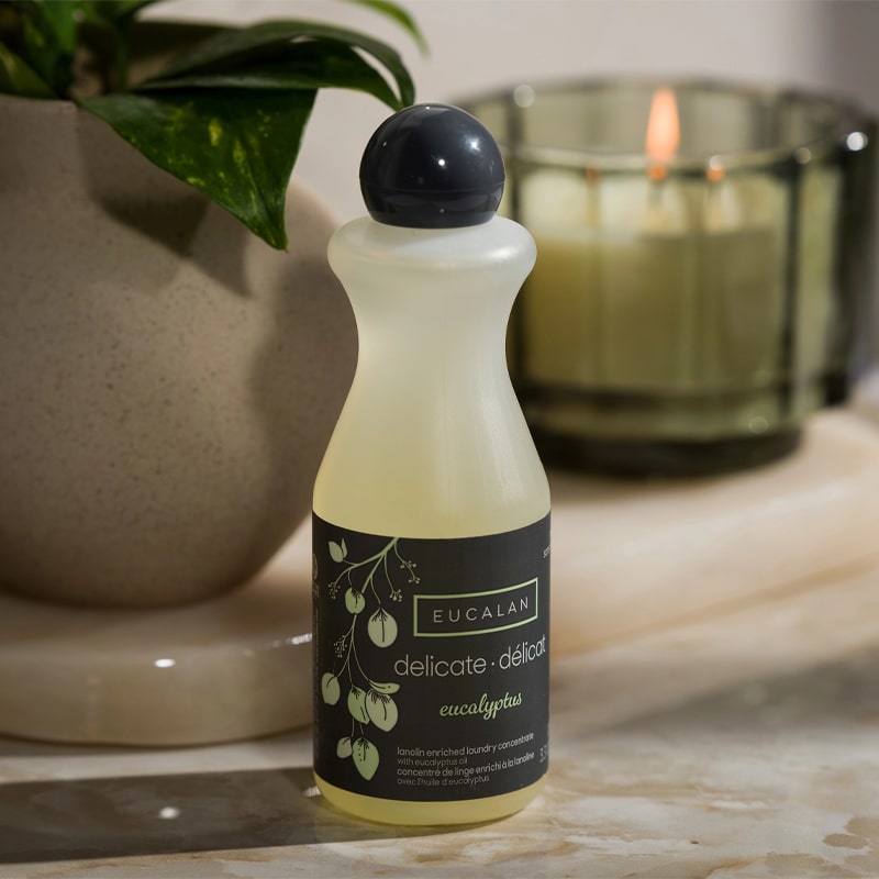 Eucalan Eucalyptus Delicate Wash - Lifestyle shot of Delicate Wash by potter plant and lit candle