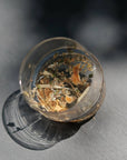 Leaves and Flowers Mt Tamalpais Loose Leaf Tea - loose leaf tea in glass of water