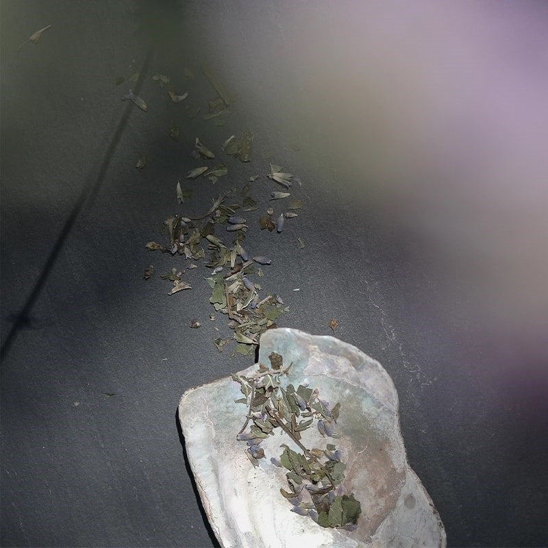 Leaves and Flowers Serenitas  Loose Leaf Tea - loose leaf tea spread out of table and shell