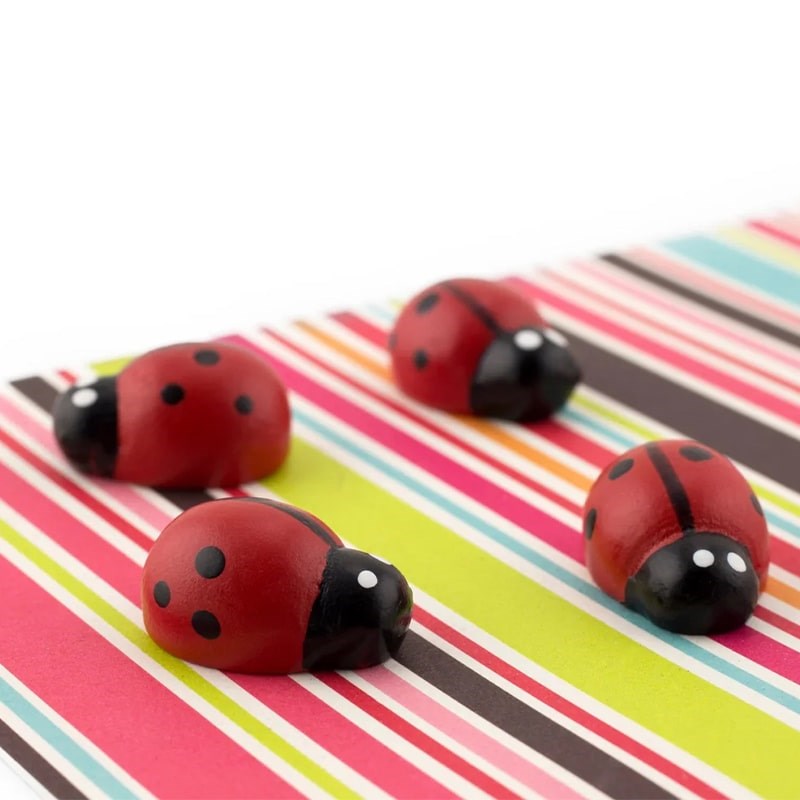 Three by Three Seattle Ladybug Magnets - Closeup of product on colorful background