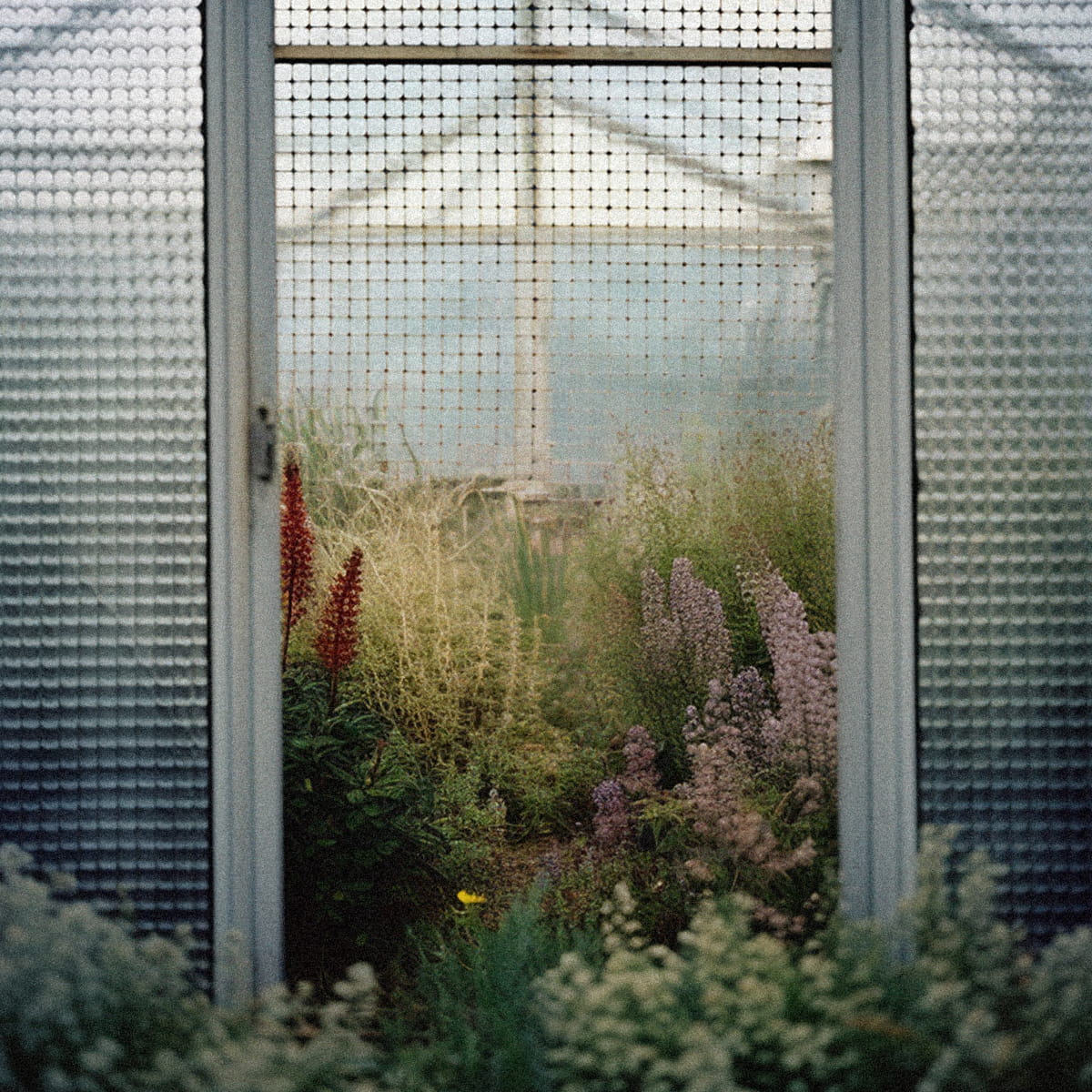 Kerzon Fragranced Candle - Fleur de Romarin (190 g) - greenhouse shown.