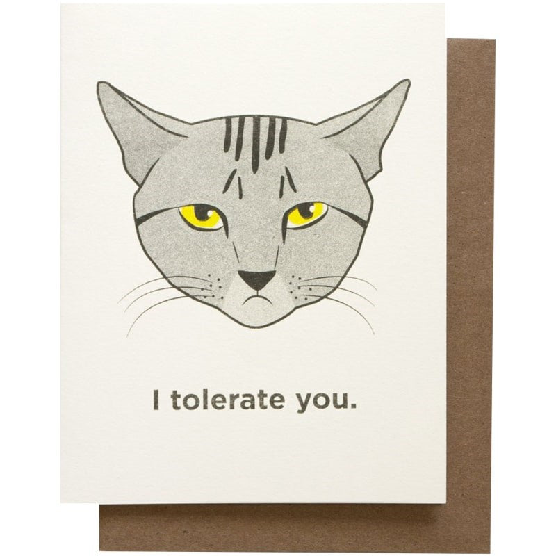 Smarty Pants Paper I Tolerate You Greeting Card