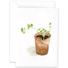 Emily Lex Studio Sweet Pea Mini Notecard (1 pc)